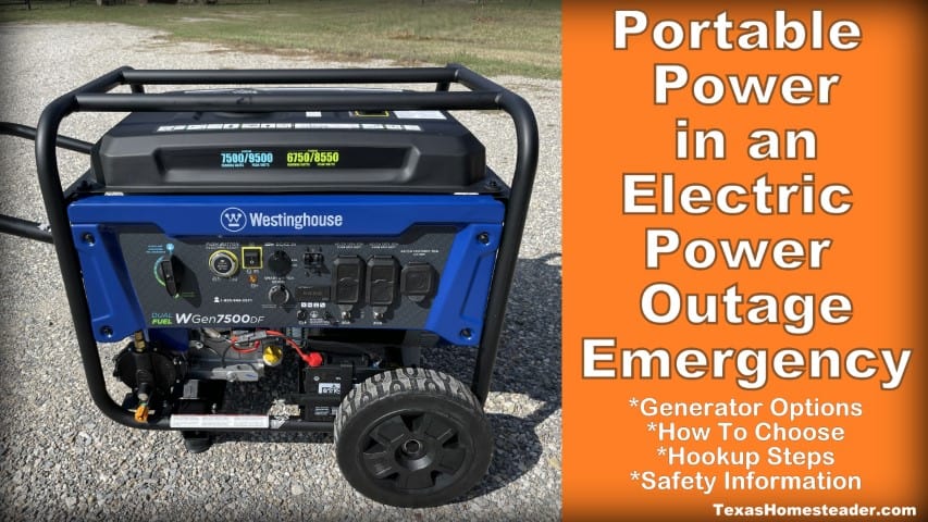 Portable Generator Options