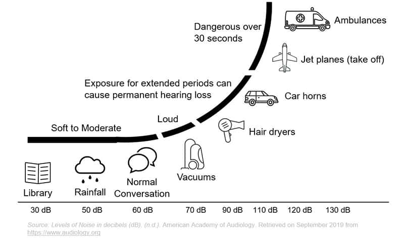 Portable Generator Noise Pollution